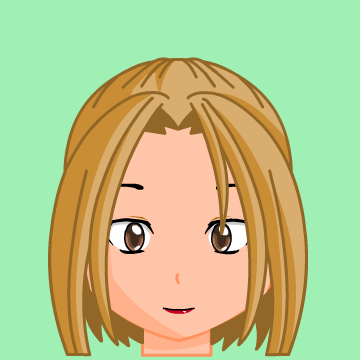 ileclercq3